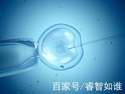 单身生子助孕机构