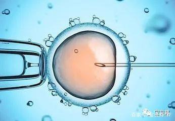 首席专家